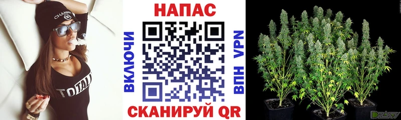МАРИХУАНА THC 21%  блэк спрут как зайти  Володарск 